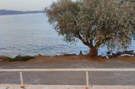 Stunning complex of properties for Sale in Monemvasia Laconia Greece Stunning complex of properties for Sale in Monemvasia Laconia Greece