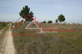 Urban land Palmela