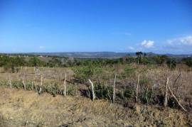 OCEAN VIEW LAND FOR SALE NEAR PUERTO PLATA