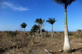 OCEAN VIEW LAND FOR SALE NEAR PUERTO PLATA