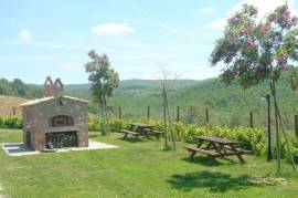 Fantastic farmhouse with pool and farmland