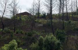 MONCHIQUE (ALFERCE), LAND IN THE MOUNTAINS, 6.4 HA, WITH RUIN, 15 KM PORTIMÃO