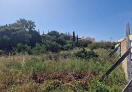 Land for Sale Ponta da Piedade