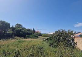 Land for Sale Ponta da Piedade Lote 3