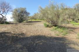 Building plot of 400 m2 located in a residential area of Benamocarra (Málaga)