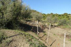 Building plot of 400 m2 located in a residential area of Benamocarra (Málaga)