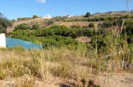 Privacy, nature, proximity to the services of the urban center!