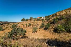 Farm with 4 bedrooms and 1 ruin in fitos of above Santana da Serra with land of 94750 m2