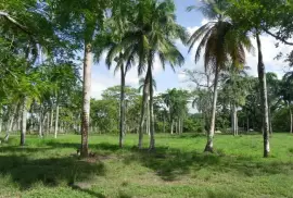 BEACHFRONT LAND NORTH COST DOMINICAN REPUBLIC
