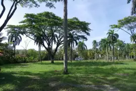 BEACHFRONT LAND NORTH COST DOMINICAN REPUBLIC