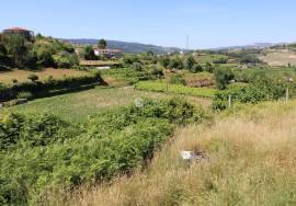 Centenary Farm in the Douro