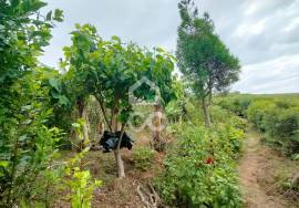 Land Vila Franca do Campo