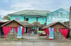 Excellent 10 Bed Resort For Sale in Atiplo Mambusao Capiz