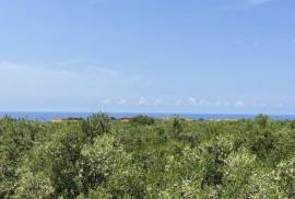 Excellent Plot of land for sale in Marathopolis Peloponnese