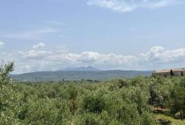 Excellent Plot of land for sale in Marathopolis Peloponnese