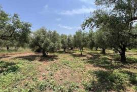 Excellent Plot of land for sale in Marathopolis Peloponnese