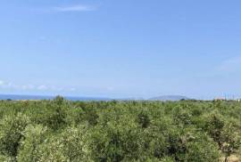 Excellent Plot of land for sale in Marathopolis Peloponnese