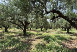 Excellent Plot of land for sale in Marathopolis Peloponnese