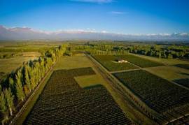 Luxury Vineyard & Villa For Sale in Colonia las Rosas Mendoza