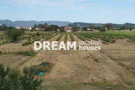(For Sale) Land Large Land || Zakynthos (Zante)/Zante Chora - 27.000 Sq.m, 400.000€