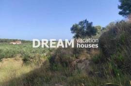 (For Sale) Land Agricultural Land || Zakynthos (Zante)/Zante Chora - 4.040 Sq.m, 150.000€
