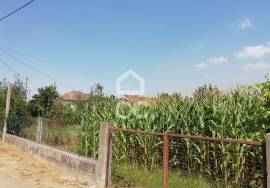 Land for flat construction with 1200 m2 with its own water