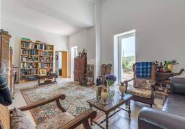 Renovated 3 bedroom country house in over 7,000 m2  plot. Near Moncarapacho. Renovated 3 bedroom country house in over 7,000 m2  plot. Near Moncarapacho.
