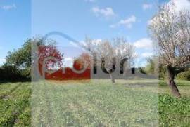 Plot Tavira Santo Estevão (Santo Estevão)
