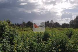 Large flat plot whith lots of possibilities