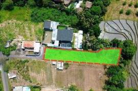Magical Riverfront Land For Sale in Tumbak Bayuh with Rice Field View