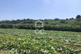 Land Lourinhã Lourinha Land Lourinhã Lourinha