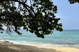 Ready To Invest - 120-Acres Beachfront Resort