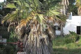 FARO - MONTENEGRO - QUINTA DAS MOURAS