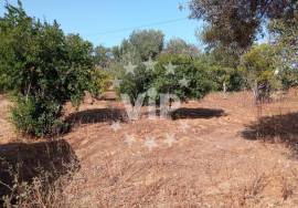 OLHÃO - HOUSE IN RUIN AND AGRICULTURAL LAND - QUATRIM