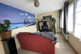 Town House with Neat Garden