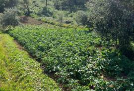 Excellent Plot of land for sale in Pinheirinho Coimbra Excellent Plot of land for sale in Pinheirinho Coimbra