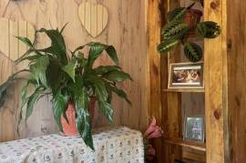 Excellent 4 Bed House For sale in Traykovo