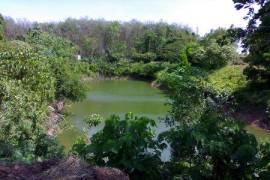 Over 9 Rai of Land For Sale within Natural Surroundings at Thalang, Phuket