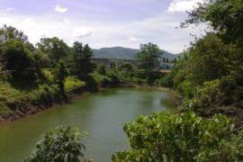 Over 9 Rai of Land For Sale within Natural Surroundings at Thalang, Phuket Over 9 Rai of Land For Sale within Natural Surroundings at Thalang, Phuket