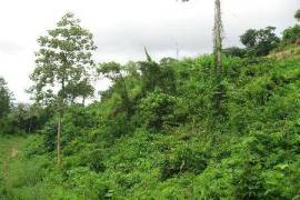 6 Rai of Hillside Land For Sale at Kathu, Phuket 6 Rai of Hillside Land For Sale at Kathu, Phuket