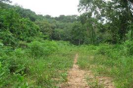 6 Rai of Hillside Land For Sale at Kathu, Phuket 6 Rai of Hillside Land For Sale at Kathu, Phuket