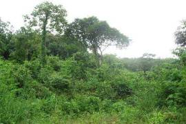 6 Rai of Hillside Land For Sale at Kathu, Phuket 6 Rai of Hillside Land For Sale at Kathu, Phuket