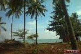 25.5 Rai of Unspoilt Land with 70m Beachfront on Koh Lanta Yai 25.5 Rai of Unspoilt Land with 70m Beachfront on Koh Lanta Yai
