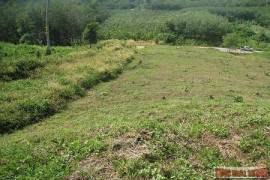 9988 Sq.m. of Land with Sea Views in Mai Khao 9988 Sq.m. of Land with Sea Views in Mai Khao