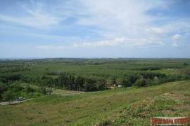 9988 Sq.m. of Land with Sea Views in Mai Khao 9988 Sq.m. of Land with Sea Views in Mai Khao