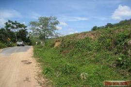 9988 Sq.m. of Land with Sea Views in Mai Khao 9988 Sq.m. of Land with Sea Views in Mai Khao