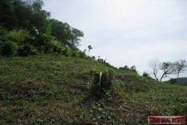 9988 Sq.m. of Land with Sea Views in Mai Khao 9988 Sq.m. of Land with Sea Views in Mai Khao