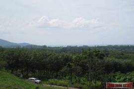 9988 Sq.m. of Land with Sea Views in Mai Khao 9988 Sq.m. of Land with Sea Views in Mai Khao