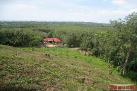 9988 Sq.m. of Land with Sea Views in Mai Khao