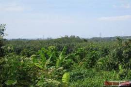 9988 Sq.m. of Land with Sea Views in Mai Khao 9988 Sq.m. of Land with Sea Views in Mai Khao